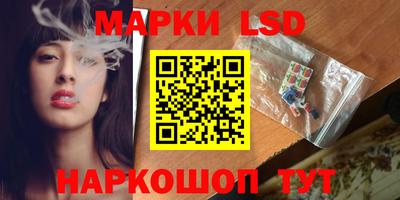 гашик Аргун