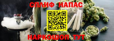 гашик Аргун